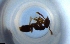  ( - RE21-NG1-HYM-1577)  @11 [ ] CreativeCommons by-nc-sa (2024) Nina Grella University of Bayreuth