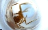 ( - RE21-NG1-HYM-1642)  @11 [ ] CreativeCommons by-nc-sa (2024) Nina Grella University of Bayreuth