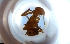  ( - RE21-NG1-HYM-1649)  @11 [ ] CreativeCommons by-nc-sa (2024) Nina Grella University of Bayreuth