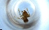  ( - RE21-NG1-HYM-1658)  @11 [ ] CreativeCommons by-nc-sa (2024) Nina Grella University of Bayreuth