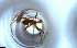  ( - RE21-NG1-HYM-1717)  @11 [ ] CreativeCommons by-nc-sa (2024) Nina Grella University of Bayreuth
