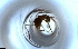  ( - RE21-NG1-HYM-1718)  @11 [ ] CreativeCommons by-nc-sa (2024) Nina Grella University of Bayreuth