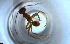  ( - RE21-NG1-HYM-1725)  @11 [ ] CreativeCommons by-nc-sa (2024) Nina Grella University of Bayreuth