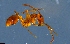  ( - RE21-NG1-HYM-1732)  @11 [ ] CreativeCommons by-nc-sa (2024) Nina Grella University of Bayreuth