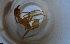  ( - RE21-NG1-HYM-1751)  @11 [ ] CreativeCommons by-nc-sa (2024) Nina Grella University of Bayreuth