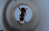  ( - RE21-NG1-HYM-1768)  @11 [ ] CreativeCommons by-nc-sa (2024) Nina Grella University of Bayreuth