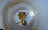  ( - RE21-NG1-HYM-1771)  @11 [ ] CreativeCommons by-nc-sa (2024) Nina Grella University of Bayreuth