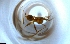  ( - RE21-NG1-HYM-1903)  @11 [ ] CreativeCommons by-nc-sa (2024) Nina Grella University of Bayreuth