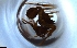  ( - RE21-NG1-HYM-1908)  @11 [ ] CreativeCommons by-nc-sa (2024) Nina Grella University of Bayreuth
