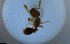  ( - RE21-NG1-HYM-1971)  @11 [ ] CreativeCommons by-nc-sa (2024) Nina Grella University of Bayreuth