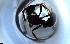  ( - RE21-NG1-HYM-2001)  @11 [ ] CreativeCommons by-nc-sa (2024) Nina Grella University of Bayreuth