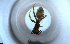 ( - RE21-NG1-HYM-2015)  @11 [ ] CreativeCommons by-nc-sa (2024) Nina Grella University of Bayreuth