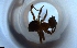  ( - RE21-NG1-HYM-2129)  @11 [ ] CreativeCommons by-nc-sa (2024) Nina Grella University of Bayreuth