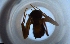  ( - RE21-NG1-HYM-2131)  @11 [ ] CreativeCommons by-nc-sa (2024) Nina Grella University of Bayreuth