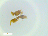  ( - RE21-NG1-HYM-2283)  @11 [ ] CreativeCommons by-nc-sa (2024) Nina Grella University of Bayreuth