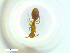  ( - RE21-NG1-HYM-2294)  @11 [ ] CreativeCommons by-nc-sa (2024) Nina Grella University of Bayreuth