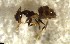  ( - RE21-NG-HYM-2486)  @11 [ ] CreativeCommons by-nc-sa (2024) Nina Grella University of Bayreuth