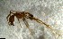  ( - RE21-NG1-HYM-2591)  @11 [ ] CreativeCommons by-nc-sa (2024) Nina Grella University of Bayreuth