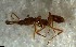  ( - RE21-NG1-HYM-2592)  @11 [ ] CreativeCommons by-nc-sa (2024) Nina Grella University of Bayreuth