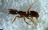  ( - RE21-NG1-HYM-2645)  @11 [ ] CreativeCommons by-nc-sa (2024) Nina Grella University of Bayreuth