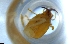  ( - RE21-NG1-ISO-0052)  @11 [ ] CreativeCommons by-nc-sa (2024) Nina Grella University of Bayreuth