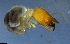  ( - RE21-NG1-ISO-0118)  @11 [ ] CreativeCommons by-nc-sa (2024) Nina Grella University of Bayreuth