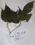  ( - DZ109)  @11 [ ] Unspecified (default): All Rights Reserved  Unspecified Unspecified