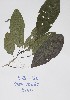  ( - DZ138)  @11 [ ] Unspecified (default): All Rights Reserved  Unspecified Unspecified