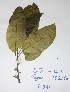  ( - DZ152)  @11 [ ] Unspecified (default): All Rights Reserved  Unspecified Unspecified