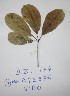  ( - DZ164)  @11 [ ] Unspecified (default): All Rights Reserved  Unspecified Unspecified