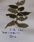  ( - DZ184)  @11 [ ] Unspecified (default): All Rights Reserved  Unspecified Unspecified