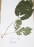  ( - DZ191)  @11 [ ] Unspecified (default): All Rights Reserved  Unspecified Unspecified