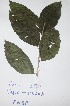  ( - DZ204)  @11 [ ] Unspecified (default): All Rights Reserved  Unspecified Unspecified