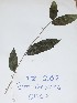  ( - DZ209)  @11 [ ] Unspecified (default): All Rights Reserved  Unspecified Unspecified