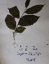  ( - DZ021)  @11 [ ] Unspecified (default): All Rights Reserved  Unspecified Unspecified