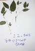  ( - DZ253)  @11 [ ] Unspecified (default): All Rights Reserved  Unspecified Unspecified
