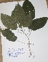  ( - DZ265)  @11 [ ] Unspecified (default): All Rights Reserved  Unspecified Unspecified