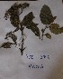  ( - DZ272)  @11 [ ] Unspecified (default): All Rights Reserved  Unspecified Unspecified