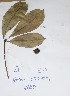  ( - DZ030)  @11 [ ] Unspecified (default): All Rights Reserved  Unspecified Unspecified