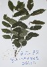  ( - DZ072)  @11 [ ] Unspecified (default): All Rights Reserved  Unspecified Unspecified