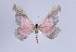  ( - Callipia-gb 0018)  @11 [ ] Copyright (2010) Unspecified Institut fuer Spezielle Zoologie und Evolutionsbiologie, Friedrich-Schiller Universitat Jena