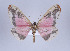  ( - Callipia-gb 0048)  @13 [ ] Copyright (2010) Unspecified Institut fuer Spezielle Zoologie und Evolutionsbiologie, Friedrich-Schiller Universitat Jena