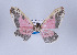  ( - Callipia-gb 0056)  @13 [ ] Copyright (2010) Unspecified Institut fuer Spezielle Zoologie und Evolutionsbiologie, Friedrich-Schiller Universitat Jena