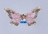  ( - Callipia-gb 0060)  @11 [ ] Copyright (2010) Unspecified Institut fuer Spezielle Zoologie und Evolutionsbiologie, Friedrich-Schiller Universitat Jena