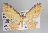  ( - ID 14537)  @14 [ ] Copyright (2010) Unspecified Institut fuer Spezielle Zoologie und Evolutionsbiologie, Friedrich-Schiller Universitat Jena