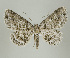  ( - ID 16921)  @14 [ ] Copyright (2010) Unspecified Institut fuer Spezielle Zoologie und Evolutionsbiologie, Friedrich-Schiller Universitat Jena