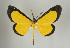  ( - ID 16954)  @14 [ ] Copyright (2010) Unspecified Institut fuer Spezielle Zoologie und Evolutionsbiologie, Friedrich-Schiller Universitat Jena