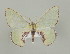 ( - ID 16960)  @13 [ ] Copyright (2010) Unspecified Institut fuer Spezielle Zoologie und Evolutionsbiologie, Friedrich-Schiller Universitat Jena
