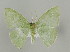  ( - ID 16967)  @13 [ ] Copyright (2010) Unspecified Institut fuer Spezielle Zoologie und Evolutionsbiologie, Friedrich-Schiller Universitat Jena