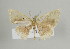  ( - ID 17002)  @14 [ ] Copyright (2010) Unspecified Institut fuer Spezielle Zoologie und Evolutionsbiologie, Friedrich-Schiller Universitat Jena